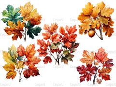 Autumn Leaves Collection Clipart - CraftNest