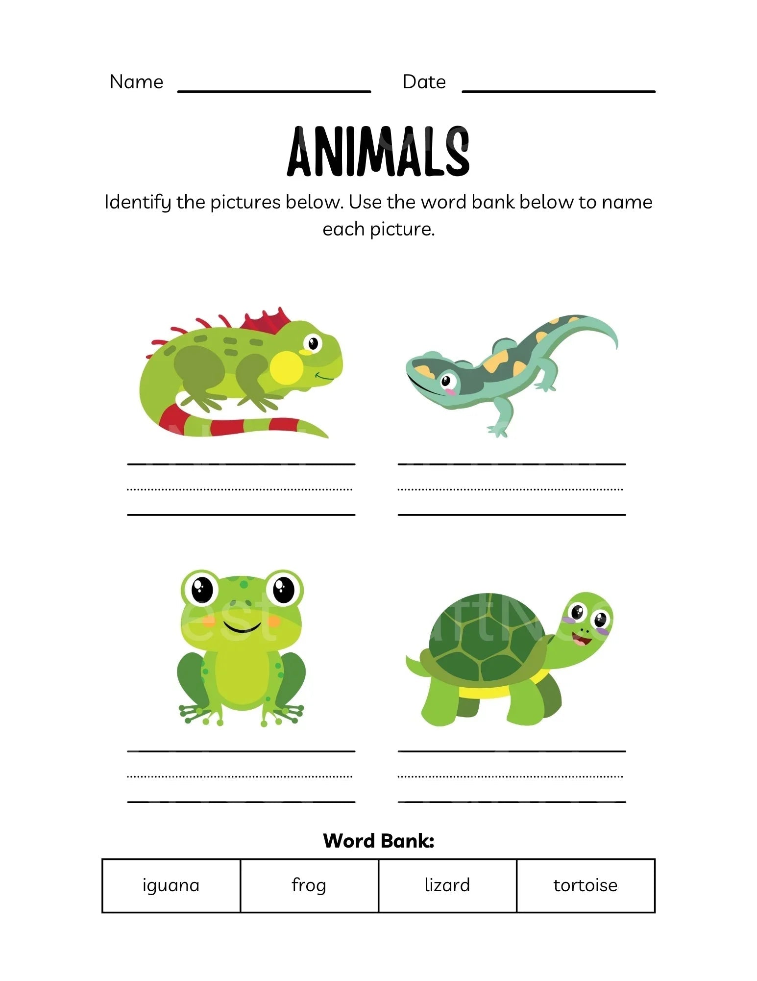 Best Animals Workbook for Kids - CraftNest - Digital Crafting and Art