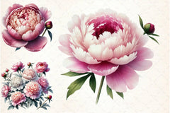 Peonies Clipart Bundle - CraftNest - Digital Crafting and Art