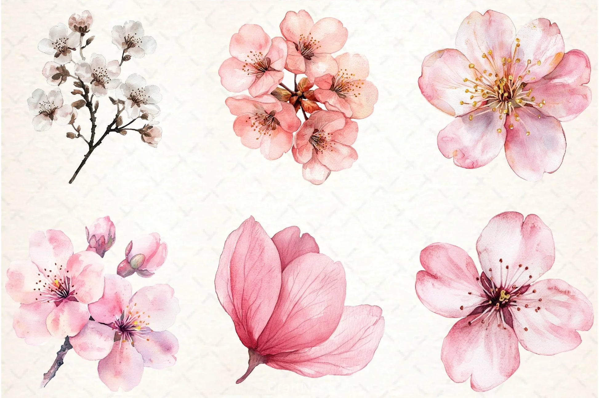 Cherry Blossom Clipart Bundle - CraftNest - Digital Crafting and Art