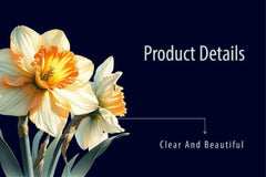 Daffodil Clipart Bundle - CraftNest - Digital Crafting and Art