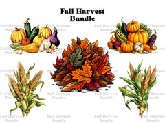 Fall Harvest Clipart - CraftNest