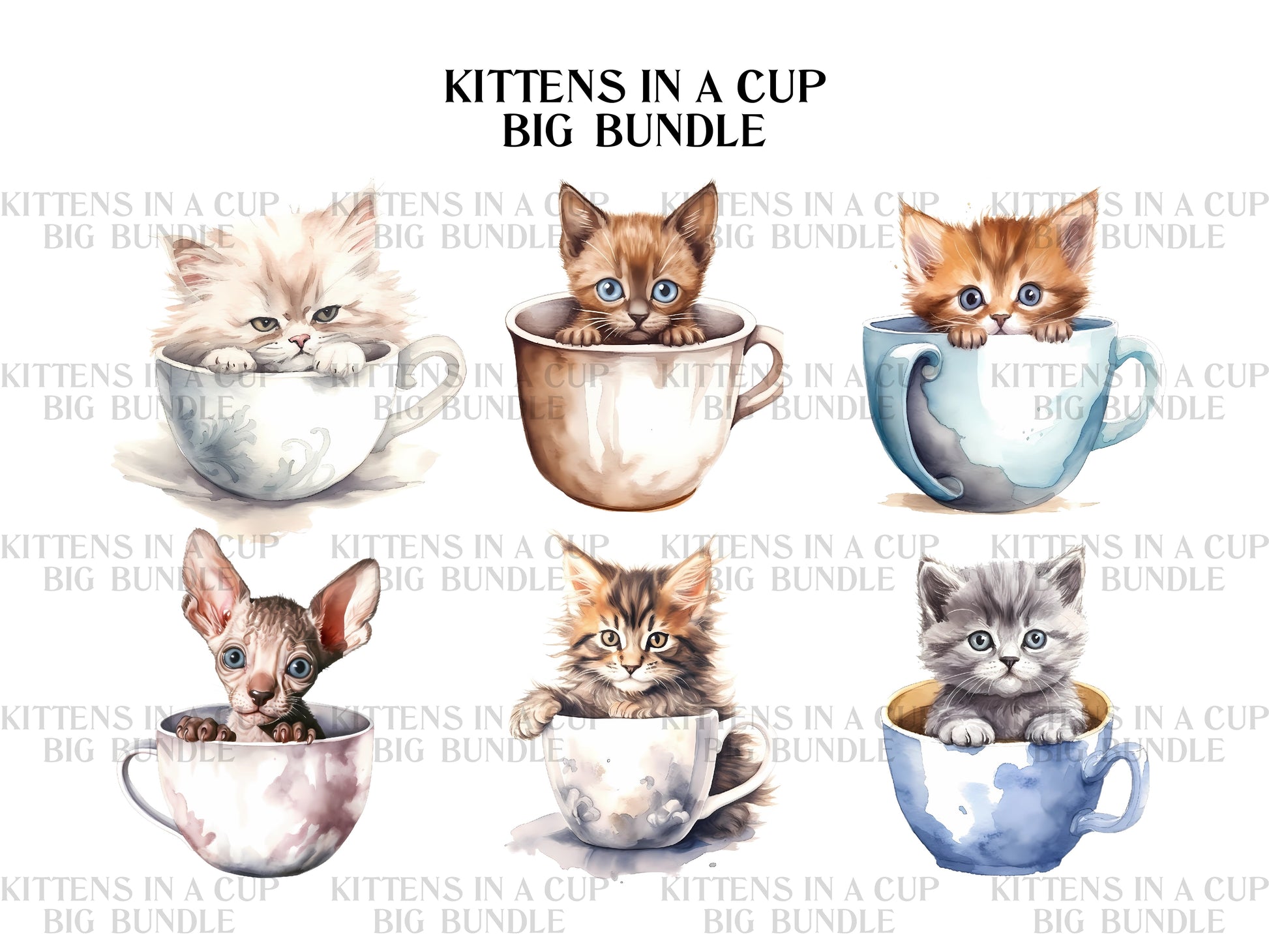 Kitten In A Cup Clipart - CraftNest