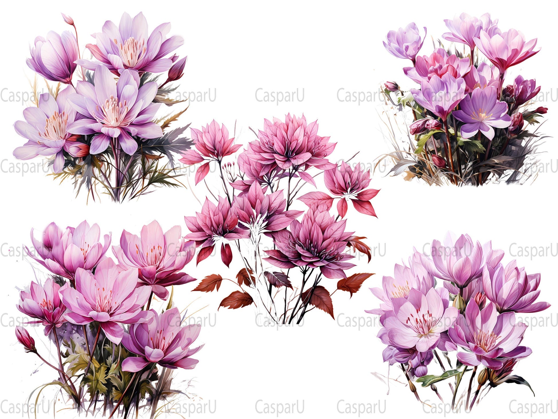 Colchicum Canvas Clipart - CraftNest
