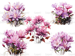 Colchicum Canvas Clipart - CraftNest