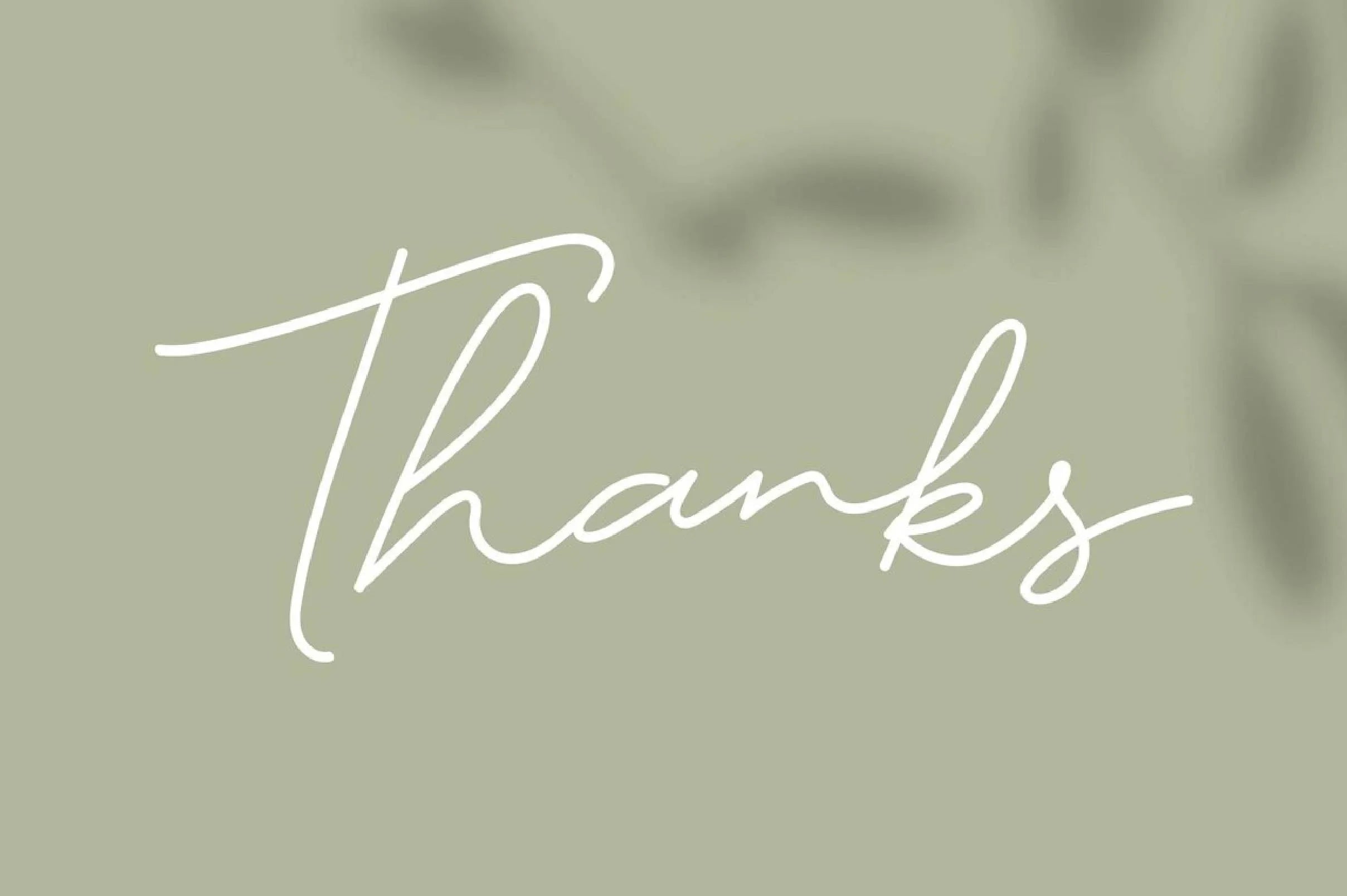 Funny Bird Clipart Bundle - CraftNest - Digital Crafting and Art