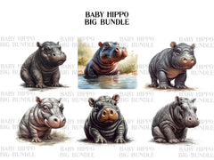 Baby Hippo Clipart - CraftNest