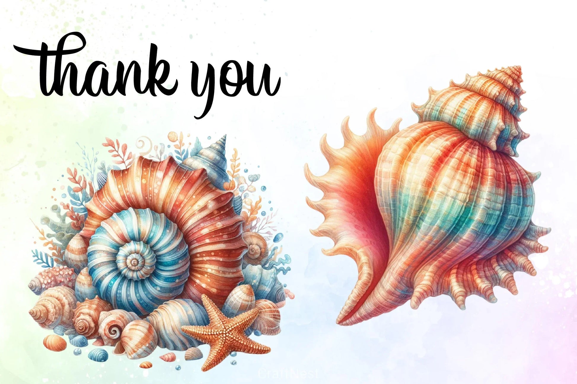 Seashell Clipart Bundle - CraftNest - Digital Crafting and Art