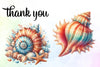 Seashell Clipart Bundle