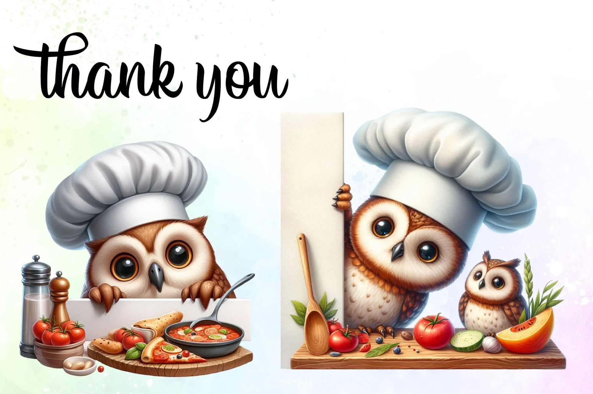 Peeking Chef Owl Clipart Bundle - CraftNest - Digital Crafting and Art