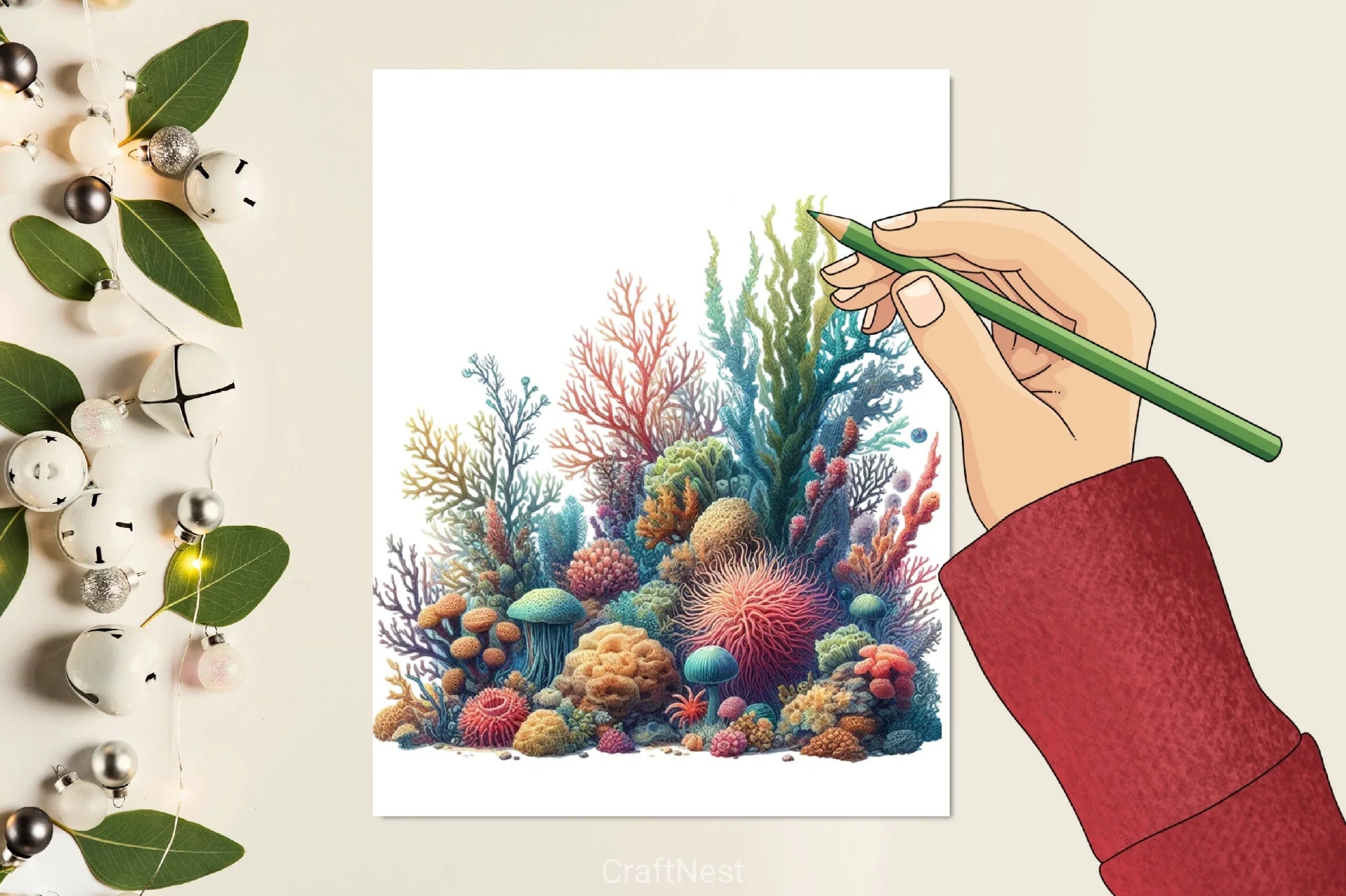 Colorful Coral Reef Sea Shell Clipart Bundle - CraftNest - Digital Crafting and Art