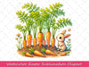 Unicorn Raccoon Clipart Bundle