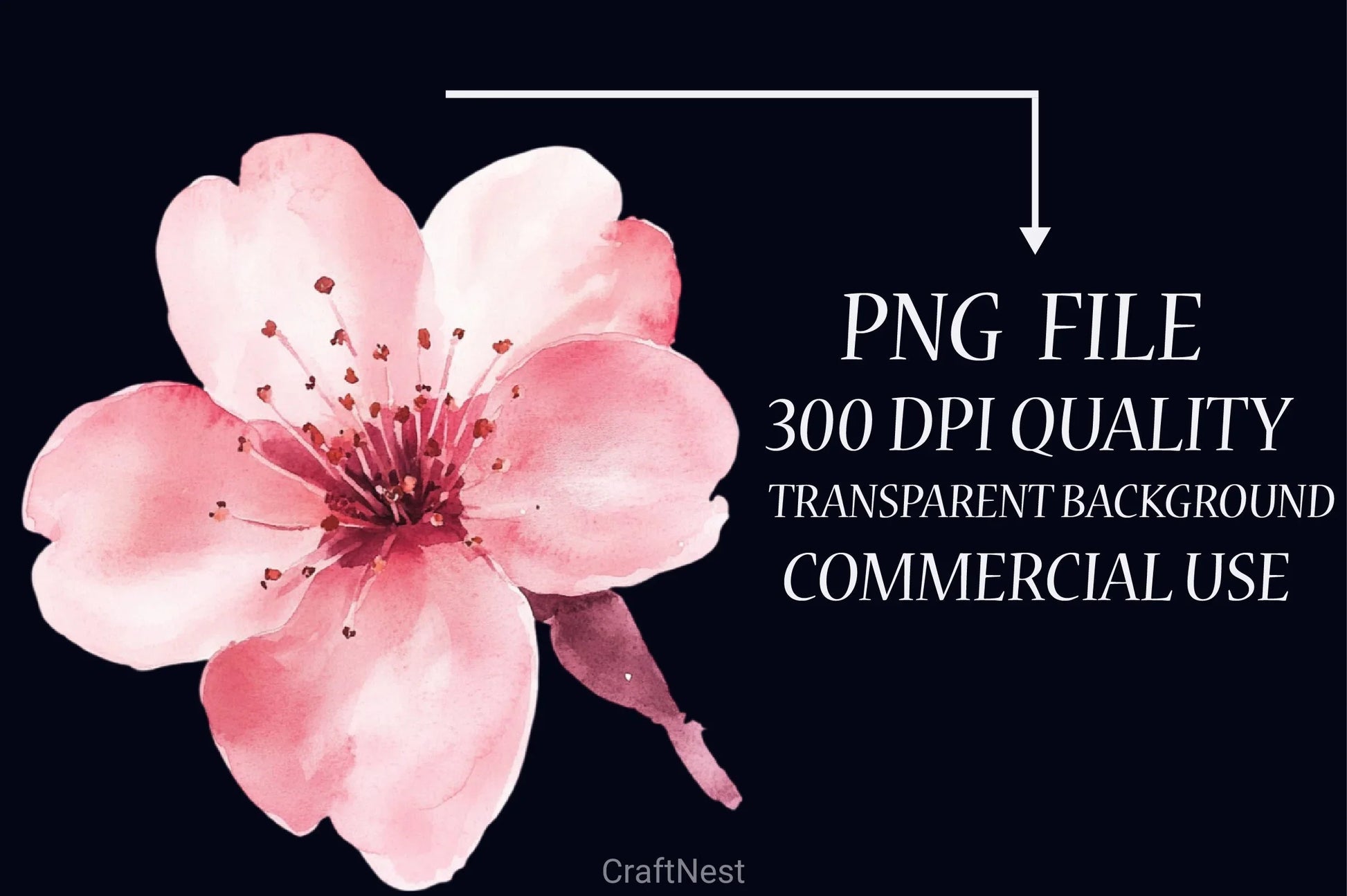 Cherry Blossom Clipart Bundle - CraftNest - Digital Crafting and Art