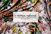 A Tropical Paradise