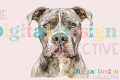 Unique Pitbull T-Shirt Design Clipart Bundle - CraftNest - Digital Crafting and Art