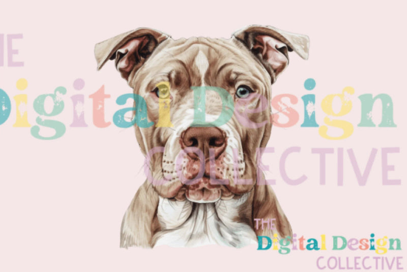 Unique Pitbull T-Shirt Design Bundle - CraftNest - Digital Crafting and Art