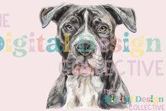 Unique Pitbull T-Shirt Design Bundle - CraftNest - Digital Crafting and Art