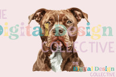 Unique Pitbull T-Shirt Design Bundle - CraftNest - Digital Crafting and Art