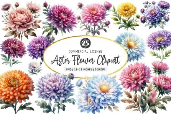 Aster Flower Clipart Bundle - CraftNest - Digital Crafting and Art