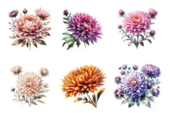 Aster Flower Clipart Bundle - CraftNest - Digital Crafting and Art