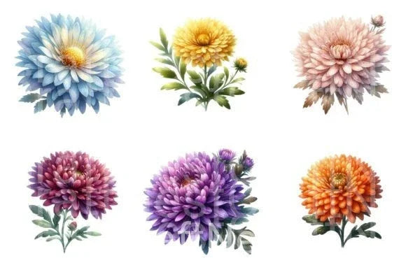 Aster Flower Clipart Bundle - CraftNest - Digital Crafting and Art