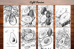 Avocado Coloring Books - CraftNest - Digital Crafting and Art