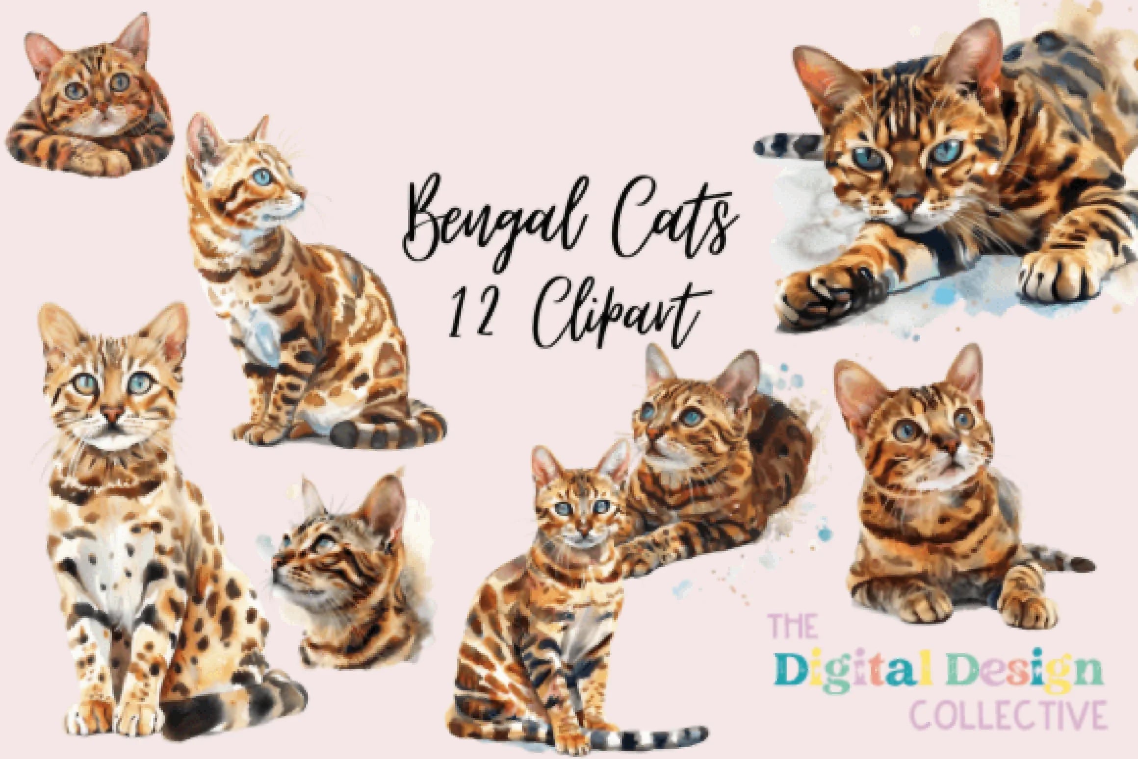 Bengal Cat Clipart Bundle Illustration - CraftNest - Digital Crafting and Art