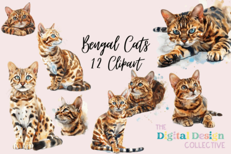 Bengal Cat Clipart Bundle Illustration - CraftNest - Digital Crafting and Art