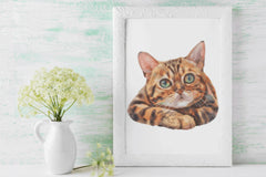 Bengal Cat Clipart Bundle Illustration - CraftNest - Digital Crafting and Art