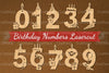 0746 Birthday Numbers Clipart Bundle