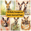 Baby Kangaroos Junk Journal Pages