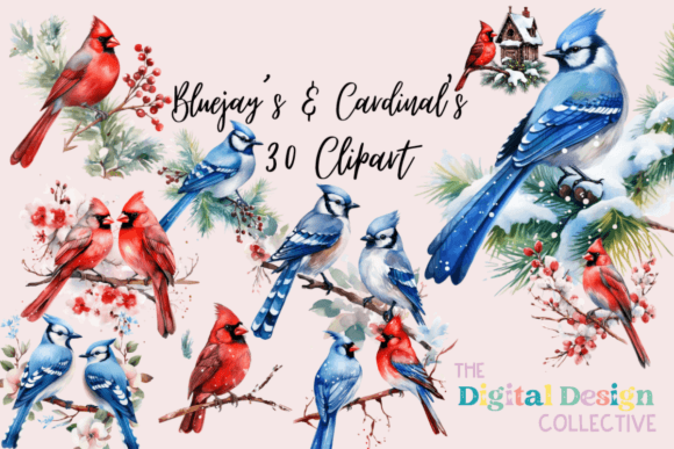 Bluejay & Cardinal Birds Art Clipart Bundle
