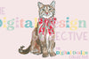 Bobcats Mascot Clipart Bundle