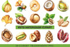 Nuts Clipart Bundle