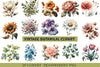 Vintage Botanical Clipart