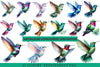 Hummingbird Clipart