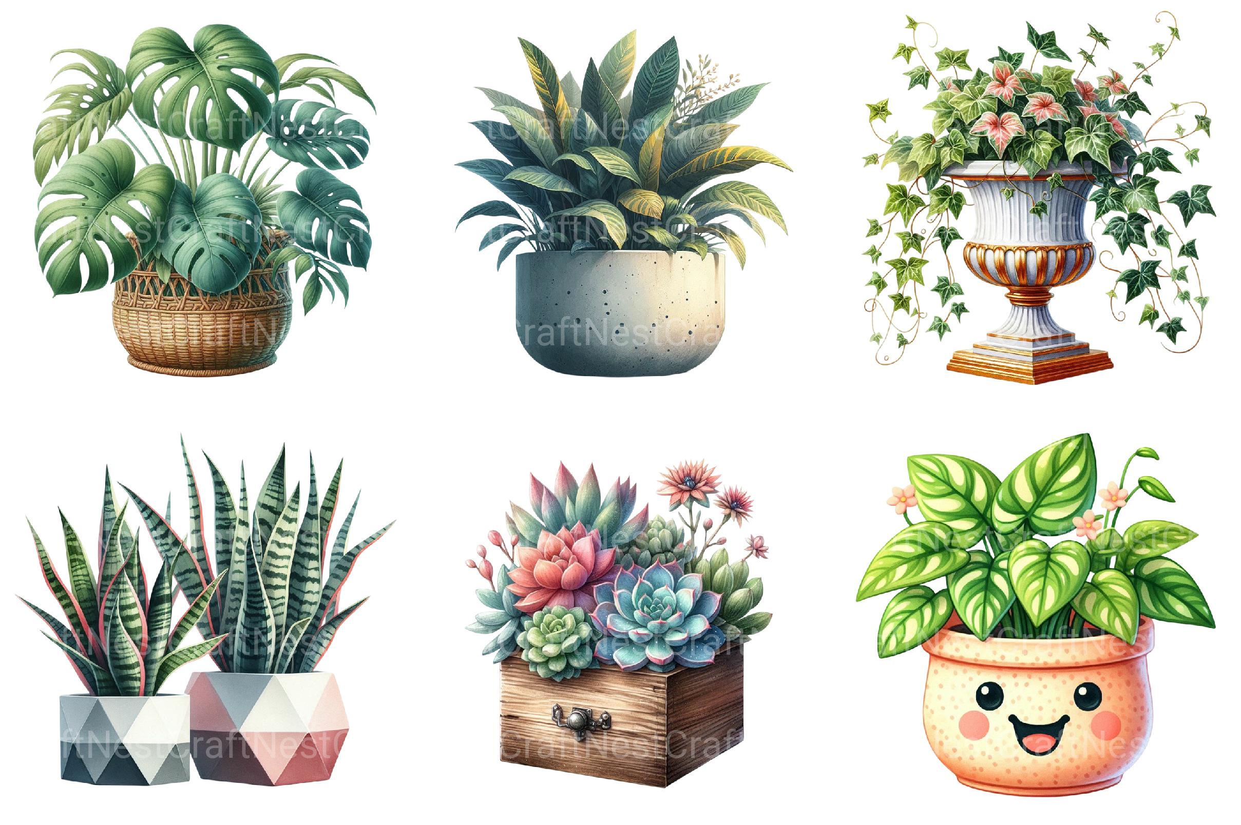 Potted Plants Clipart Bundle - CraftNest - Digital Crafting and Art