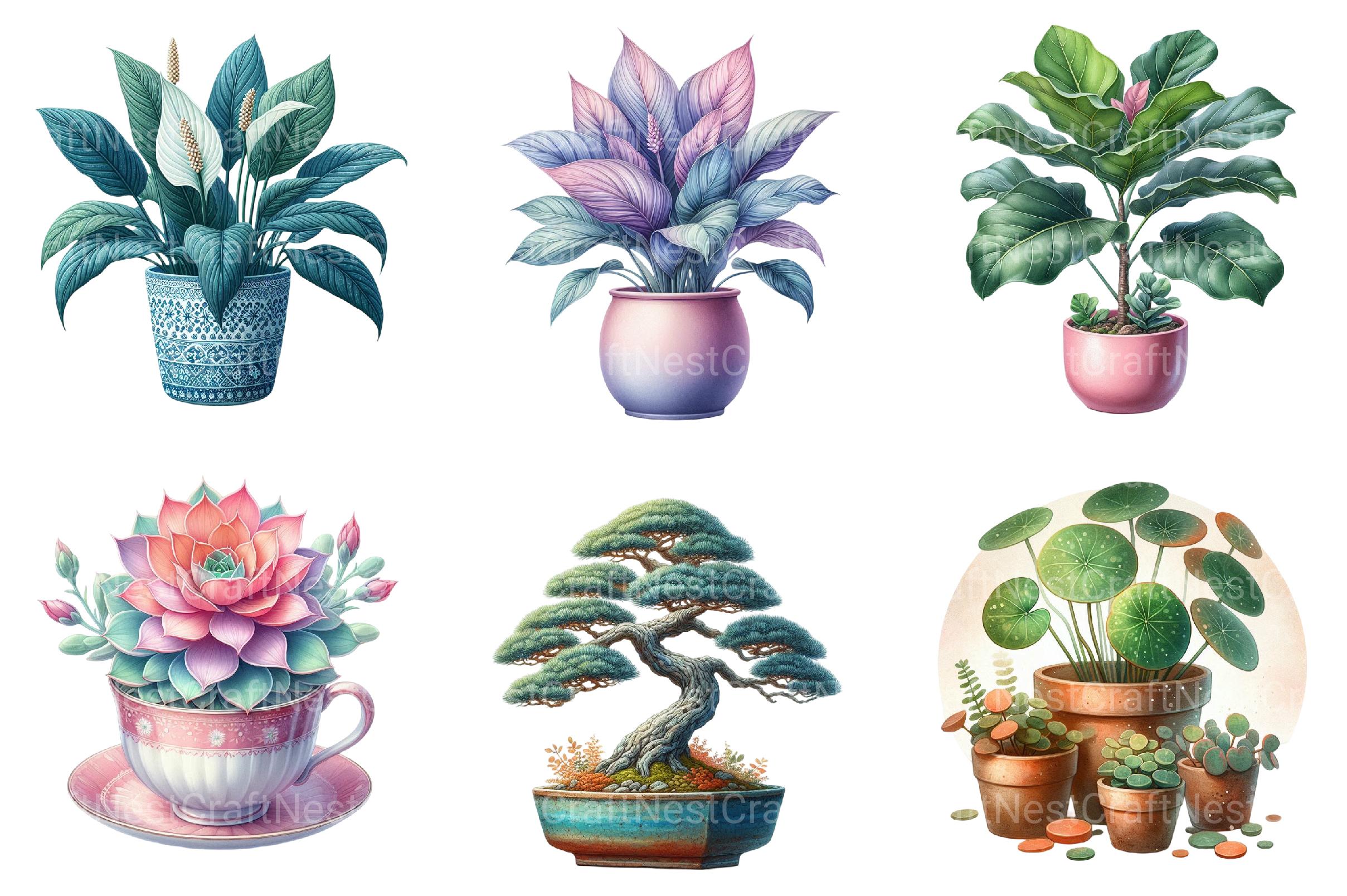 Potted Plants Clipart Bundle - CraftNest - Digital Crafting and Art