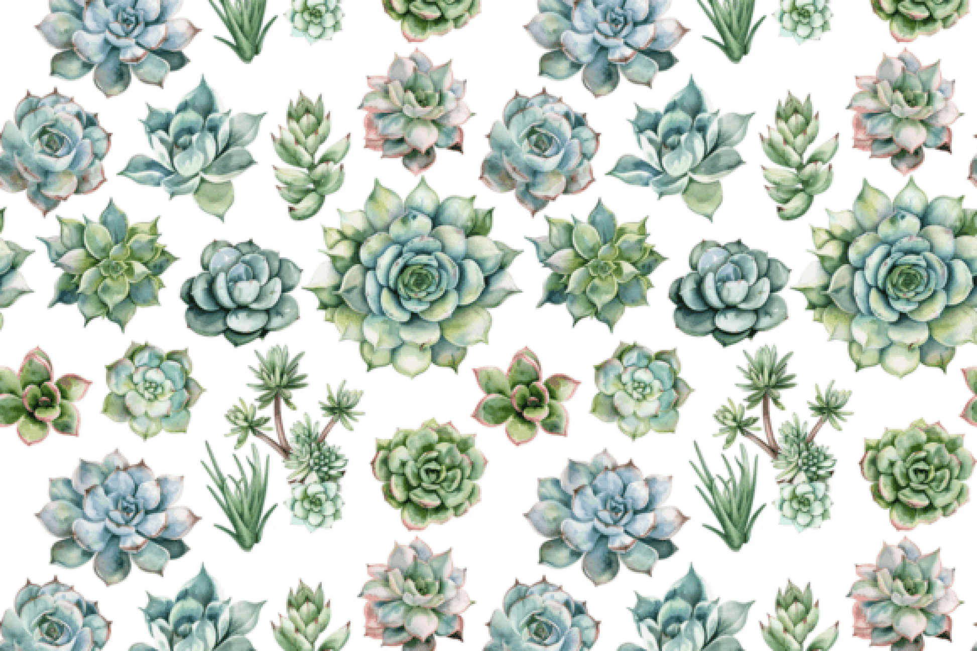 Cacti and Succulents Seamless Digital Paper - CraftNest - Digital Crafting and Art