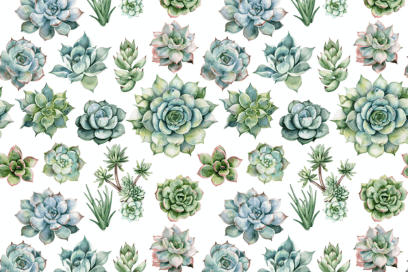 Cacti and Succulents Seamless Digital Paper - CraftNest - Digital Crafting and Art