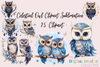 Celestial Owl Illustrations Clipart Bundle