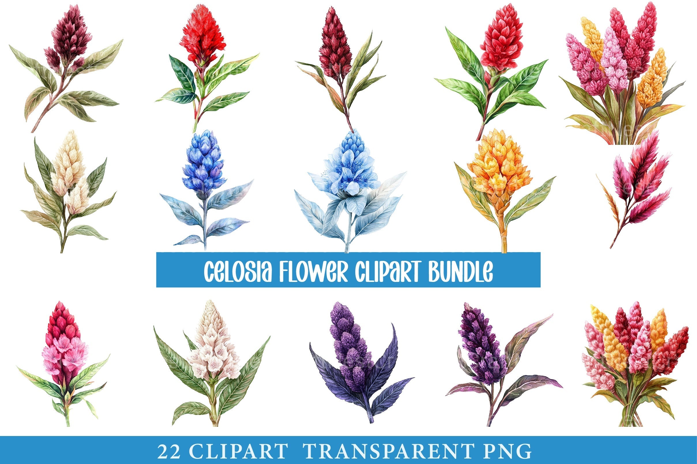 Celosia Flower Clipart - CraftNest - Digital Crafting and Art