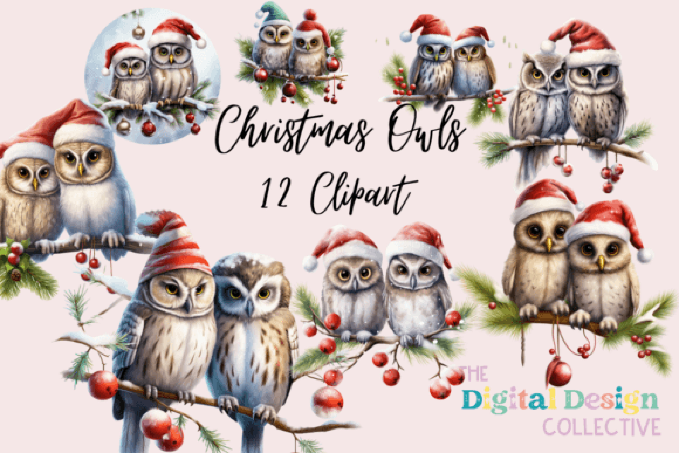 Adorable Owl Clipart Bundle