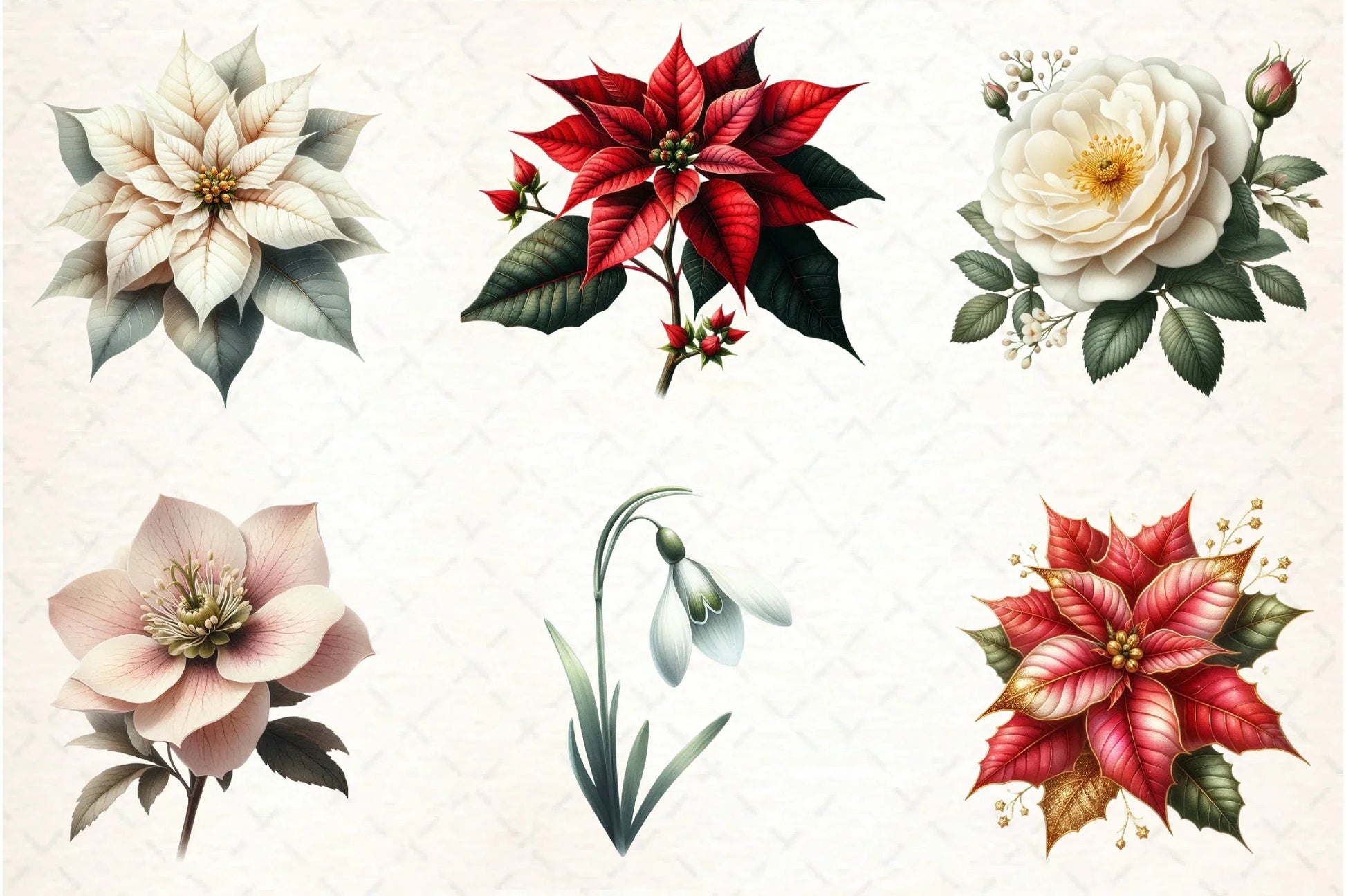 Christmas Flowers Clipart Bundle - CraftNest - Digital Crafting and Art