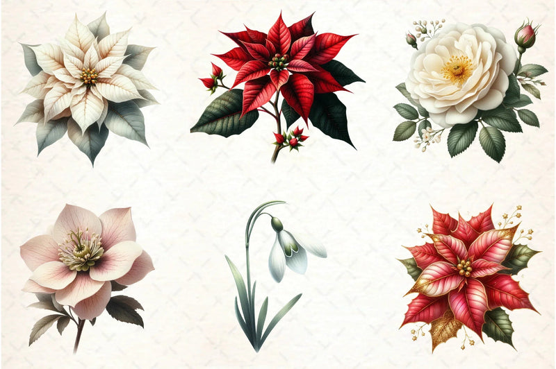 Christmas Flowers Clipart Bundle - CraftNest - Digital Crafting and Art