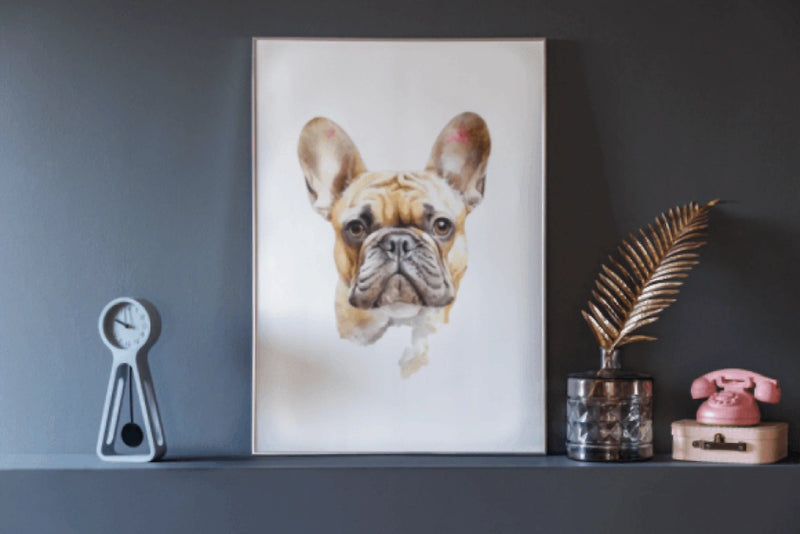 Cute French Bulldog Clipart Bundle - CraftNest - Digital Crafting and Art