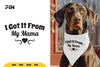 Dog Bandana 'Got It From My Mama' SVG Bundle