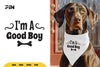 Dog Bandana Good Boy SVG Bundle