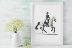 PNG Dressage Horse Show Equestrian Clipart Bundle - CraftNest - Digital Crafting and Art