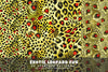 Exotic Leopard Fur - Animal Print
